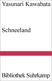 Buchcover in Grossansicht