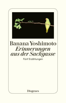 Erinnerungen aus der Sackgasse: Fünf Erzählungen
