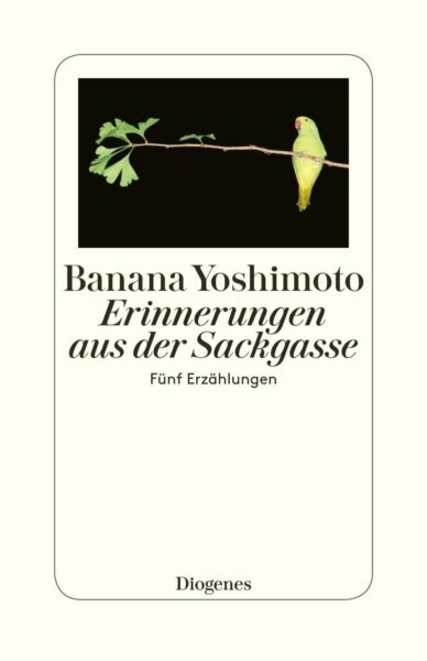 Erinnerungen aus der Sackgasse: Fünf Erzählungen