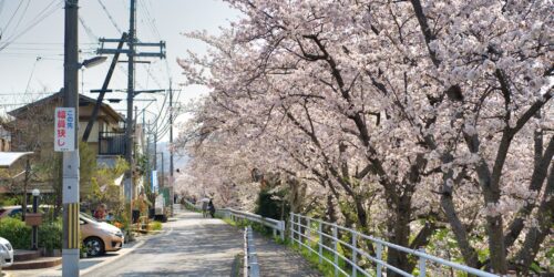 Warum es momentan so einfach wie nie ist, Urlaub in Japan zu machen