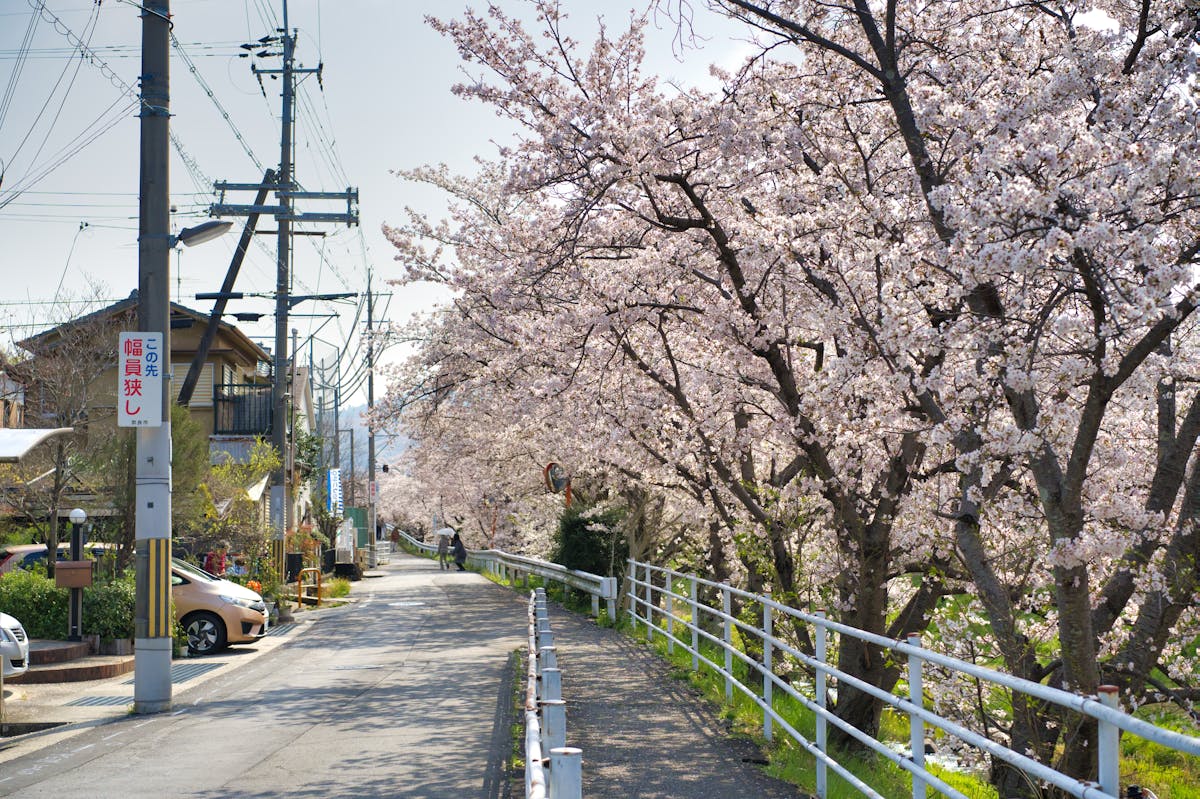 Warum es momentan so einfach wie nie ist, Urlaub in Japan zu machen